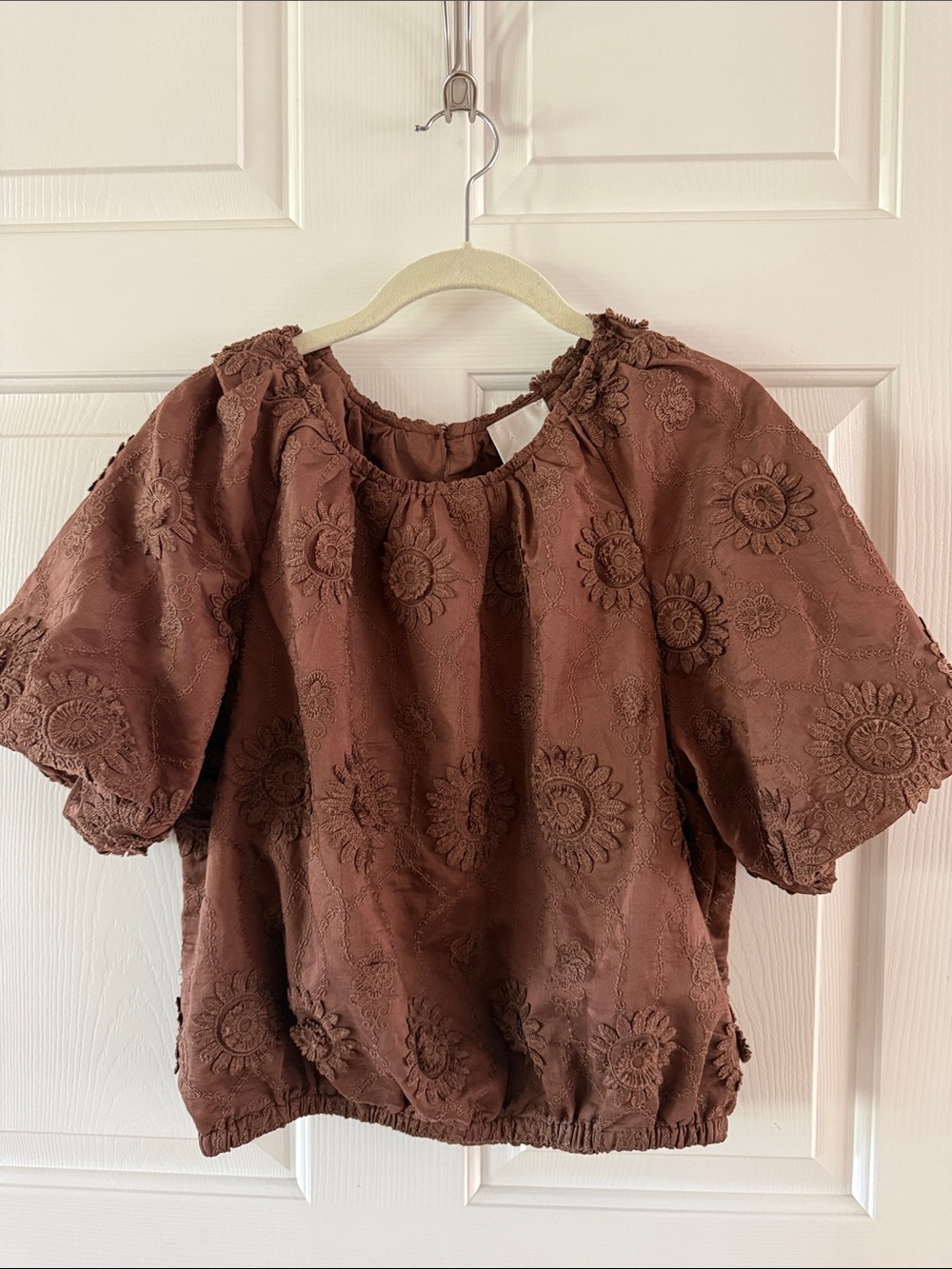 Embroidered Puff Sleeve Top in Brown